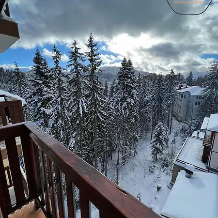 Deluxe 33 Mountain Apartment Pamporovo