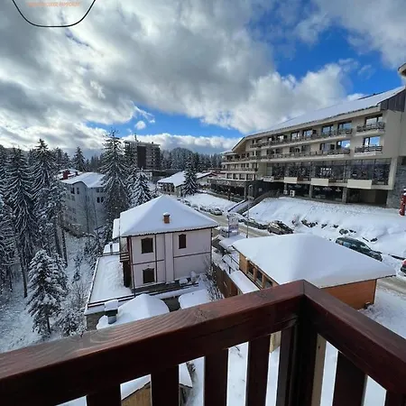 Deluxe 33 Mountain *