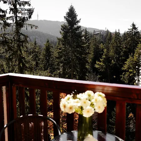 Deluxe 33 Mountain Апартаменты *