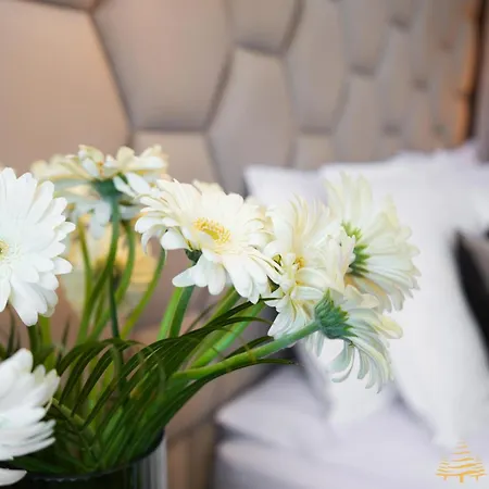 Apartament Deluxe 33 Mountain *